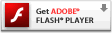 FlashPlayer_E[h͂